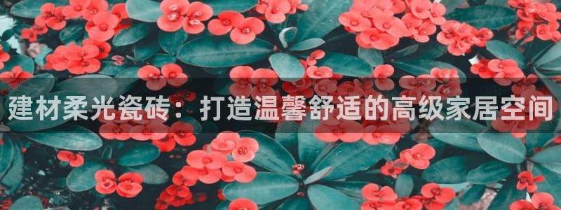 杏鑫招商总代