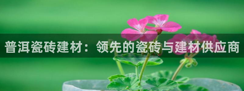 杏鑫平台招商