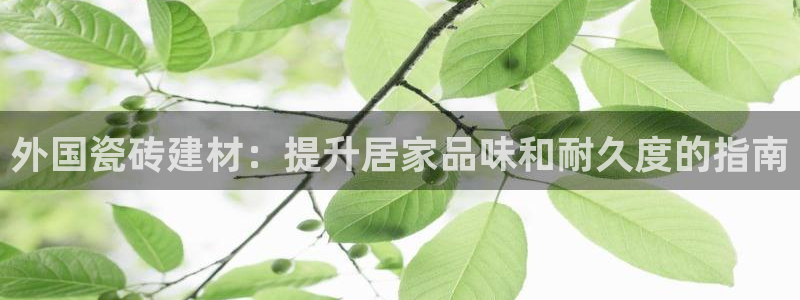 杏鑫娱乐平台登录注册网站