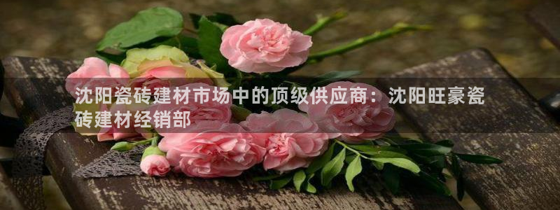 杏鑫代理注册平台