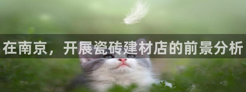 杏鑫注册登录网址是多少