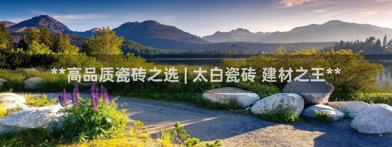 杏鑫平台号7O777