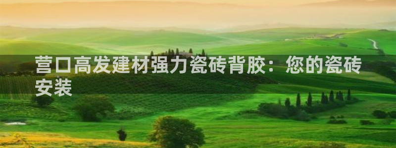 杏鑫平台代理怎么样啊