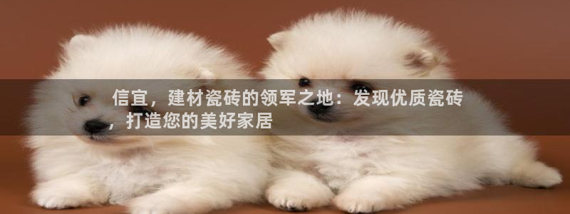 杏鑫平台正规吗可信吗