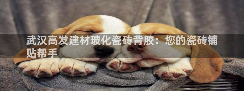 杏鑫平台平台娱乐