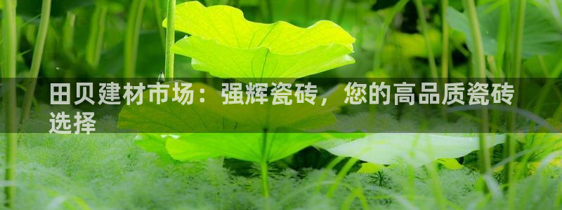 杏鑫平台靠谱吗