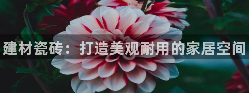 杏鑫平台平台娱乐怎么样