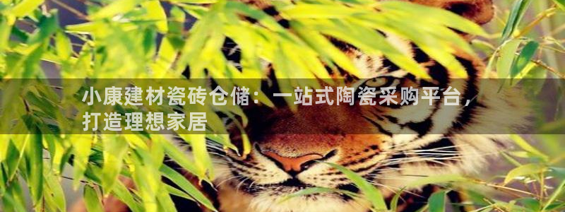 杏鑫注册登录平台