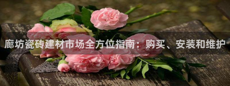 杏鑫平台登录注册