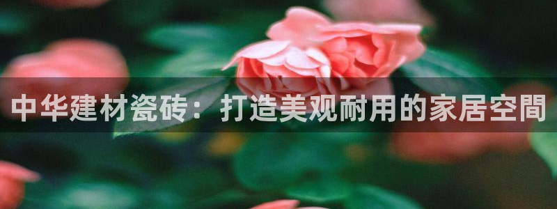 杏鑫平台是黑平台吗是真的吗