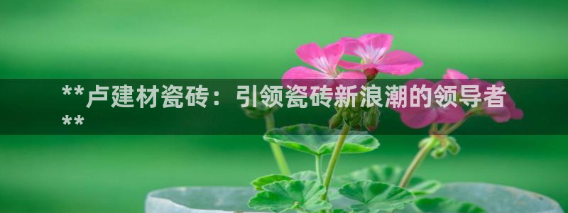 杏鑫娱乐平台测速怎么样