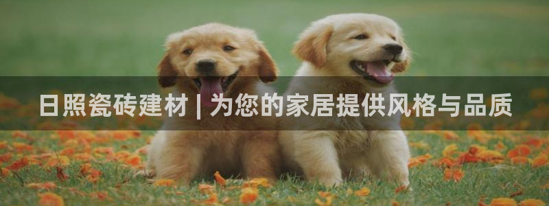 杏鑫3主管