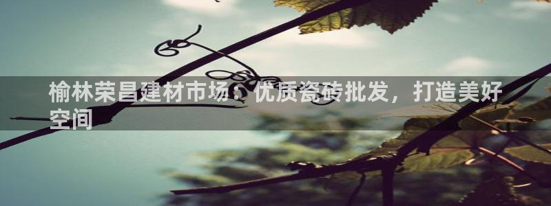 杏鑫平台提供