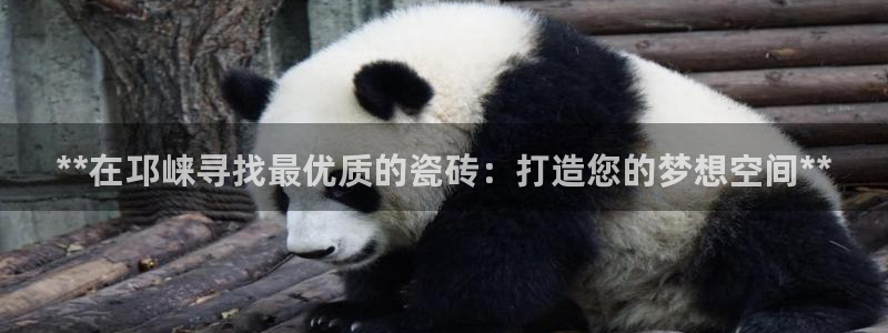 杏鑫官网注册账号怎么注册不了