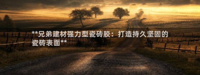 杏鑫注册登录代理公司