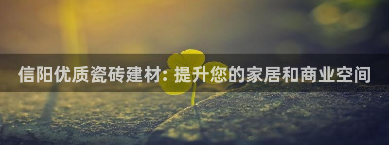 杏鑫娱乐负责人