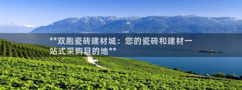 杏鑫平台注册入口