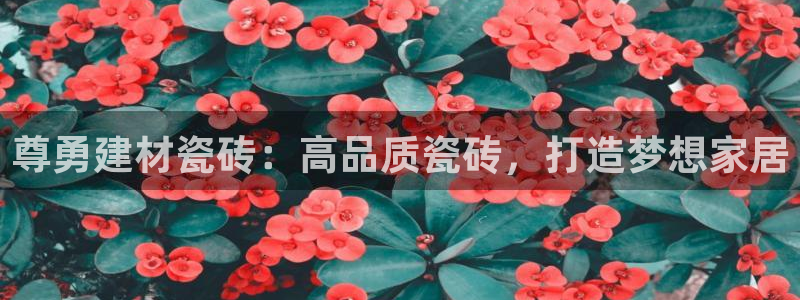 杏鑫平台注册网址查询
