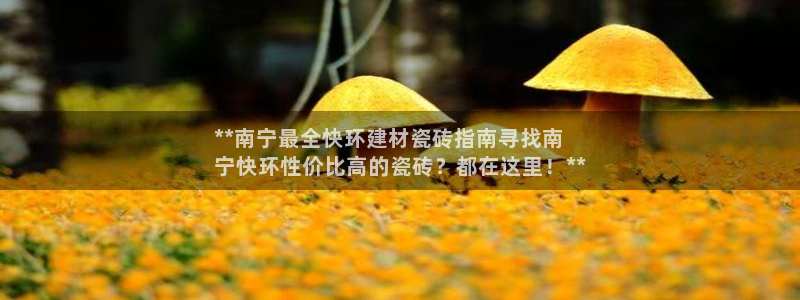 杏鑫平台平台娱乐怎么样