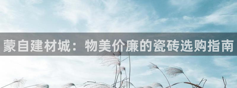杏鑫注册登录代理