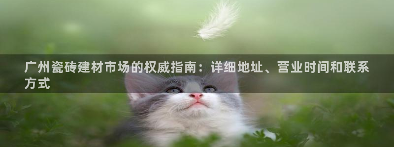 杏鑫代理注册