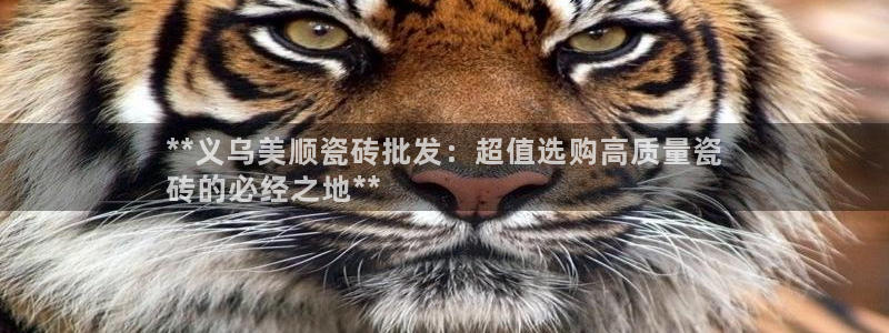 杏鑫平台是黑平台吗
