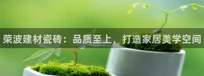 杏鑫平台线路测速