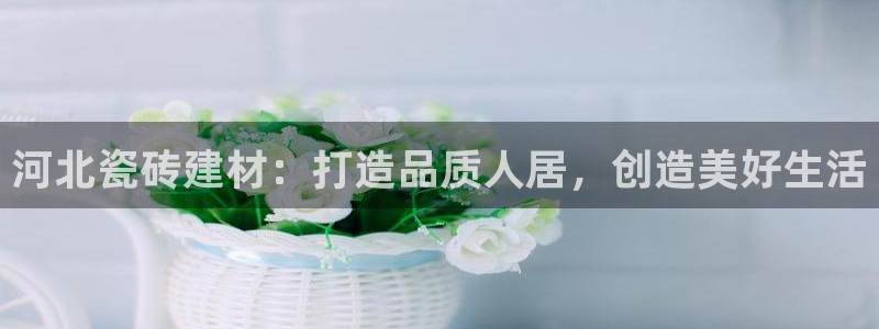 杏鑫平台登录地址