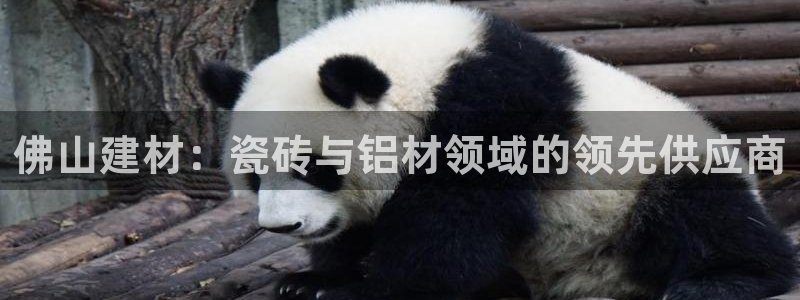 杏鑫主管