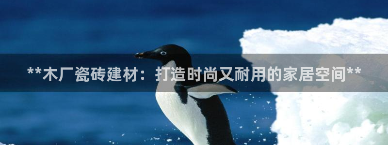 杏鑫官网注册账号怎么注册