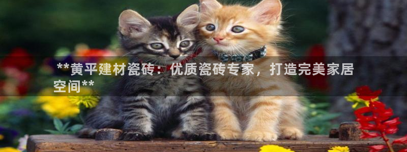 杏鑫平台代理怎么样啊