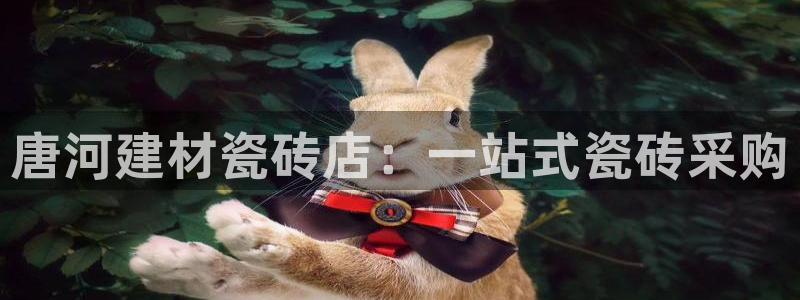杏鑫娱乐是真的吗