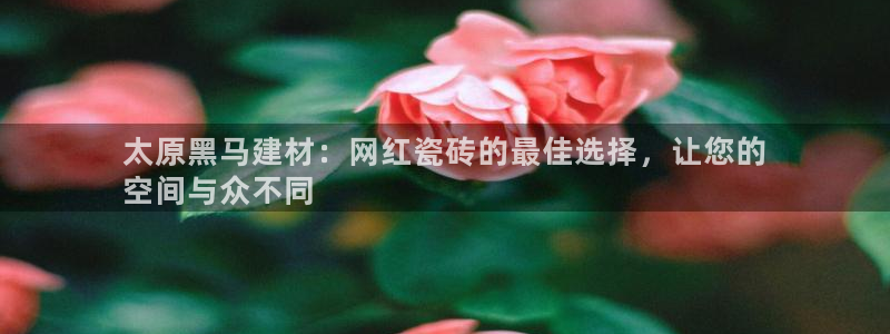 杏鑫平台招商电话号码查询
