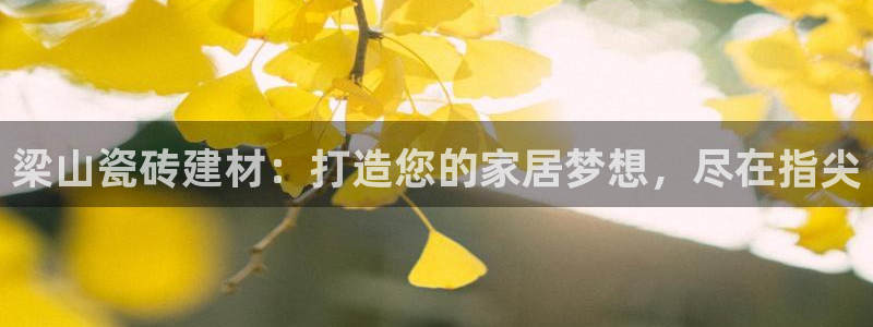 杏鑫平台平台