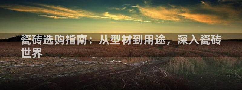 杏鑫注册平台官方网站下载