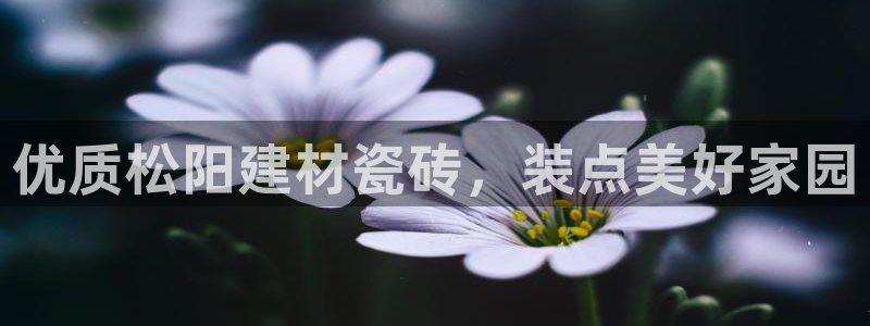 杏鑫有亏损返点吗