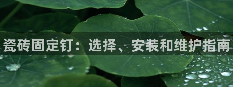 杏鑫平台平台娱乐怎么样