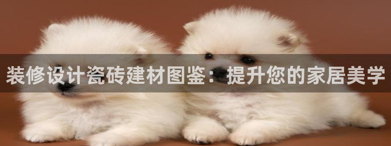 杏鑫平台代理注册流程图