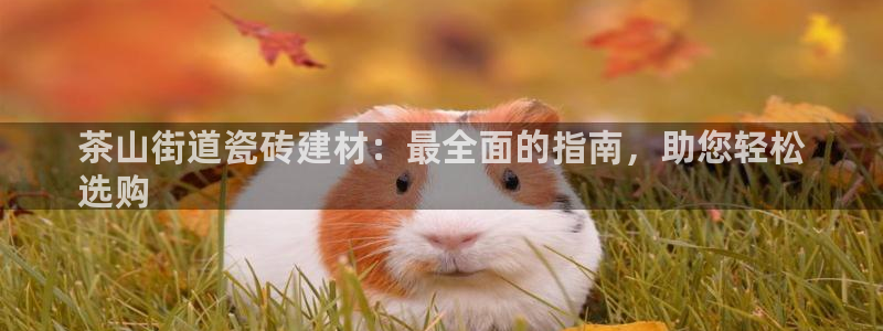 杏鑫平台念7O777