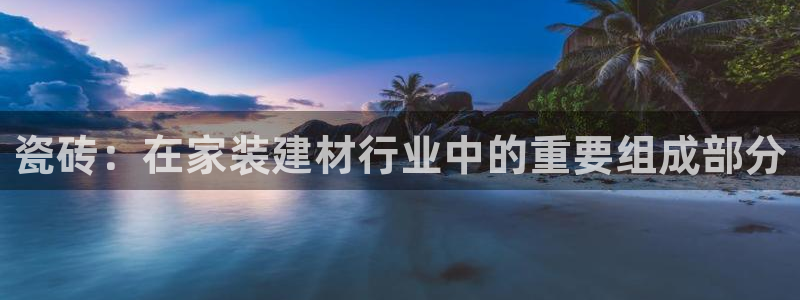 杏鑫代理注册资金多少