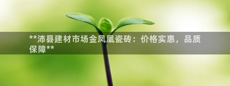 杏鑫平台注册入口在哪里找