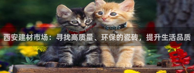 杏鑫平台代理怎么做的