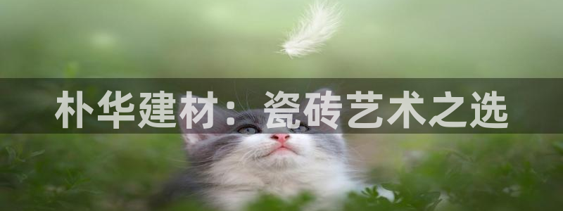 杏鑫平台招商电话号码是多少