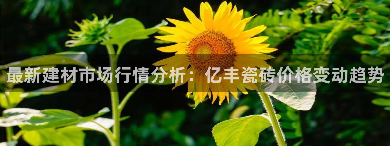 杏鑫登录注册测速