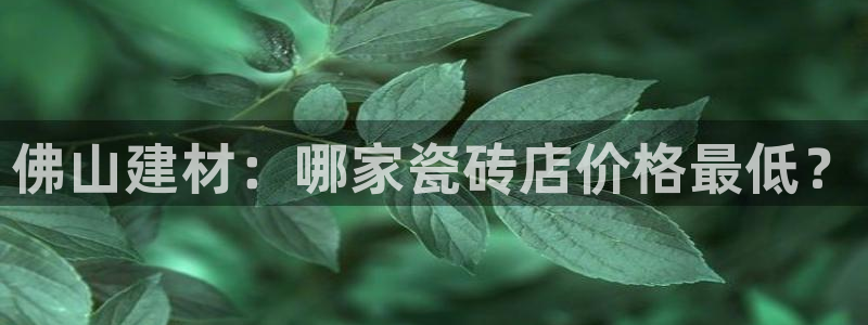 杏鑫平台代理注册多少钱一个