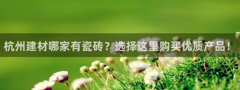 杏鑫平台登录地址在哪