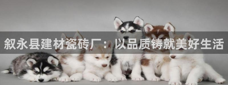 杏鑫平台代理