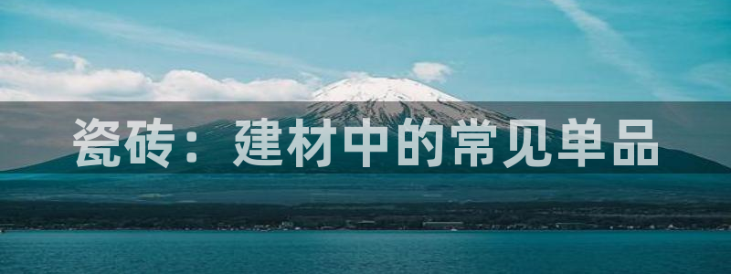 杏鑫主管