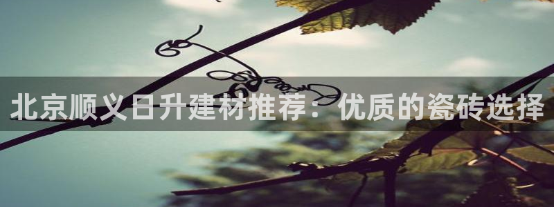 杏鑫娱乐多少年了
