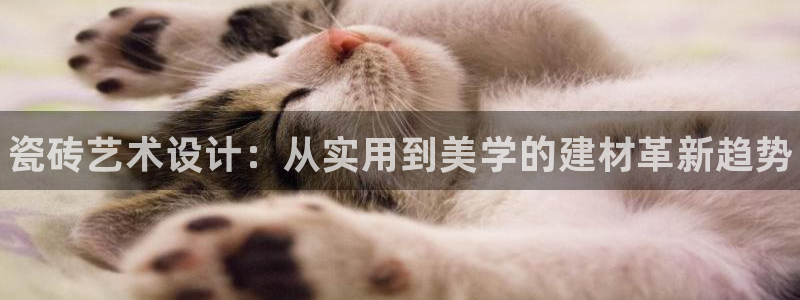 杏鑫平台招商电话号码是多少